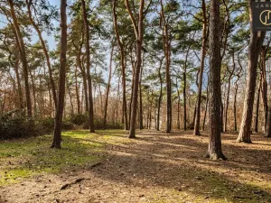 Prodej bytu 2+1, Plzeň - Doubravka, Ke Špitálskému lesu, 58 m2