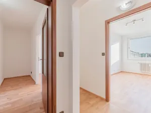 Pronájem bytu 3+1, Olomouc, Stiborova, 74 m2