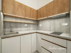 Pronájem bytu 2+kk, Praha - Vinohrady, Mánesova, 63 m2