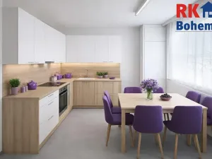 Prodej bytu 1+1, Mladá Boleslav, Jana Palacha, 40 m2