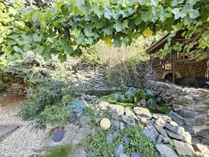 Prodej vícegeneračního domu, Brno - Černovice, Vinohradská, 350 m2