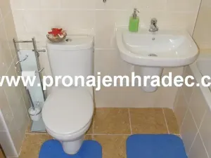 Pronájem bytu 2+kk, Hradec Králové, Kollárova, 55 m2