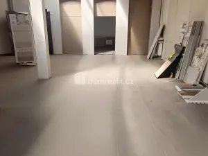 Prodej výrobních prostor, Děčín - Děčín VI-Letná, Dělnická, 1300 m2