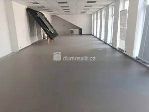 Prodej výrobních prostor, Děčín - Děčín VI-Letná, Dělnická, 1300 m2