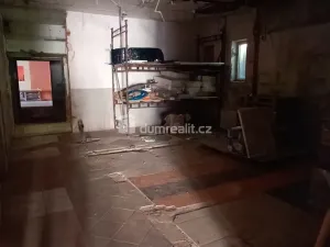 Prodej výrobních prostor, Děčín - Děčín VI-Letná, Dělnická, 1300 m2