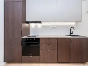 Pronájem bytu 3+kk, Praha - Žižkov, Buková, 53 m2