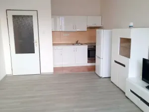 Pronájem bytu 2+kk, Olomouc - Nová Ulice, 48 m2