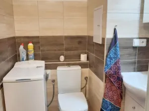 Pronájem bytu 2+kk, Olomouc - Nová Ulice, 48 m2