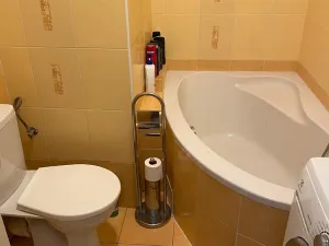 Pronájem bytu 1+1, Olomouc, Jílová, 32 m2