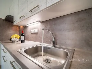 Pronájem bytu 1+kk, České Budějovice - České Budějovice 3, Plzeňská, 21 m2