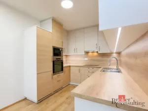 Pronájem bytu 2+kk, Plzeň - Jižní Předměstí, Železná, 73 m2