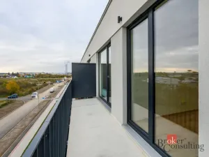 Pronájem bytu 2+kk, Plzeň - Jižní Předměstí, Železná, 73 m2