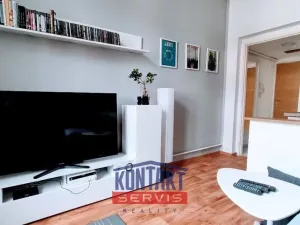 Pronájem bytu 1+1, České Budějovice, Resslova, 47 m2