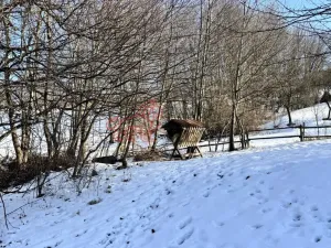 Prodej rodinného domu, Lopeník, 250 m2