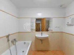 Pronájem bytu 3+1, Praha - Nové Město, Spálená, 127 m2