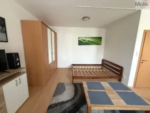 Pronájem bytu 1+kk, Most, Radniční, 32 m2