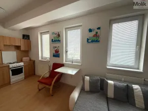 Pronájem bytu 1+kk, Most, Radniční, 32 m2