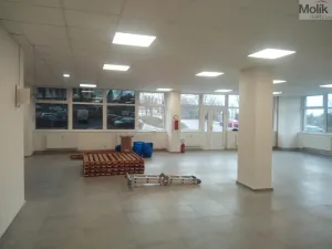 Pronájem obchodního prostoru, Louny, Husova, 172 m2