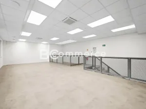 Pronájem obchodního prostoru, Brno, Svatopetrská, 203 m2