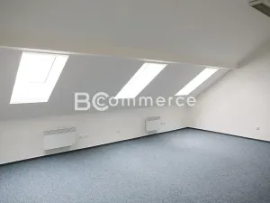 Pronájem kanceláře, Brno, Pražská, 23 m2