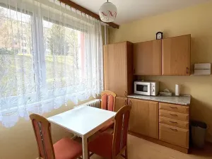 Pronájem bytu 1+1, Uherský Brod, Rychtalíkova, 39 m2