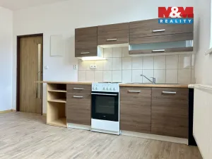 Pronájem bytu 1+kk, Švihov, Čsl. legií, 40 m2