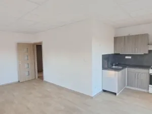 Pronájem bytu 2+kk, Rančířov, 56 m2
