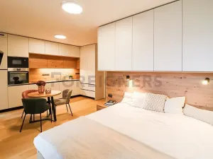 Pronájem bytu 1+kk, Brno, Cyrilská, 23 m2