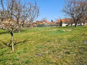 Prodej rodinného domu, Uherský Brod, Svat. Čecha, 83 m2