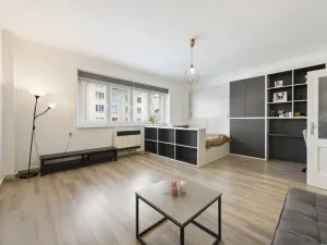 Prodej bytu 1+1, Praha - Holešovice, Osadní, 45 m2