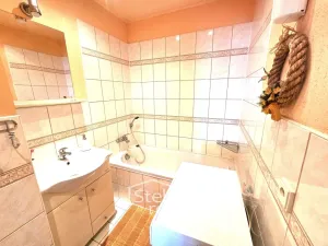 Pronájem bytu 2+1, Břidličná, Sokolovská, 55 m2