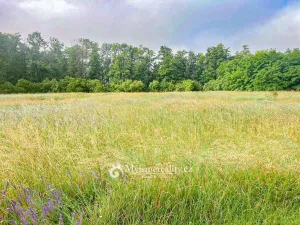 Prodej pole, Tvořihráz, 184181 m2