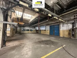 Pronájem výrobních prostor, Příbram - Příbram I, Obecnická, 1000 m2