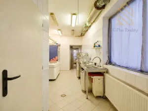 Pronájem restaurace, Litoměřice - Předměstí, Masarykova, 96 m2