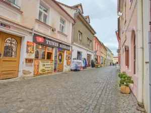 Pronájem restaurace, Litoměřice - Litoměřice-Město, 5. května, 120 m2