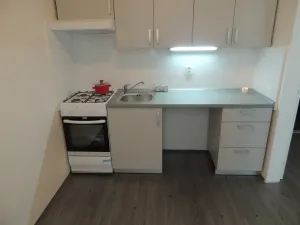 Pronájem bytu 2+1, Ostrava - Bělský Les, Ladislava Hosáka, 44 m2