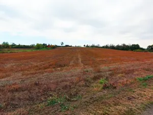 Prodej pozemku pro bydlení, Zruč nad Sázavou, 5369 m2