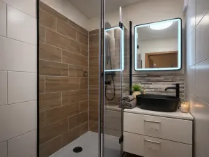 Prodej bytu 2+kk, Praha - Žižkov, Buková, 47 m2