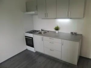 Pronájem bytu 1+1, Ostrava - Mariánské Hory, Gen. Hrušky, 38 m2