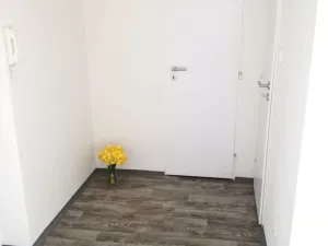 Pronájem bytu 1+1, Ostrava - Výškovice, Lužická, 39 m2