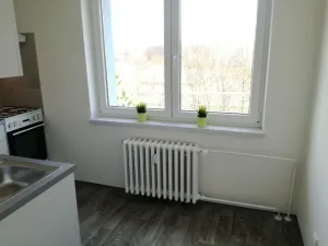 Pronájem bytu 1+1, Ostrava - Výškovice, Lužická, 39 m2