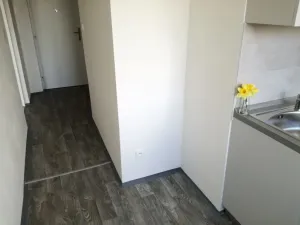 Pronájem bytu 1+1, Ostrava - Výškovice, Lužická, 39 m2