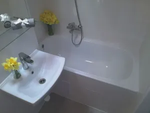 Pronájem bytu 1+1, Ostrava - Výškovice, Lužická, 39 m2