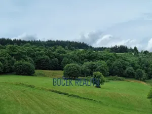 Prodej komerčního pozemku, Žacléř, 34107 m2