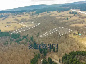 Prodej komerčního pozemku, Žacléř, 34107 m2