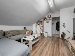 Prodej činžovního domu, Děčín, Březová, 347 m2