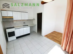 Pronájem bytu 1+1, Plzeň, K Pecím, 46 m2