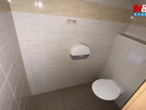 Prodej komerční nemovitosti, Plavy, 180 m2