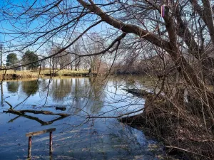 Prodej pozemku pro bydlení, Dolní Věstonice, V Zahradách, 431 m2