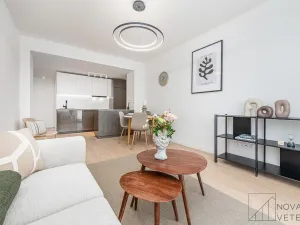 Prodej bytu 4+kk, Praha - Žižkov, Pod lipami, 75 m2